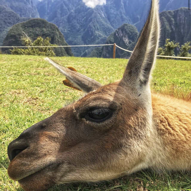 Historic Sanctuary of Machu Picchu Santuario Histórico de Ma