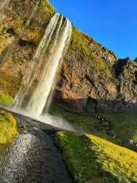 冰島隱藏版瀑布!Gljúfrabúi峽谷探秘 🚶♂️🌊 11月南岸打卡必去