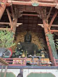 🇯🇵奈良一日遊|鹿群×古寺×人氣咖啡甜品巡禮✨