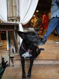 ⭐ บ้านธารชีวี – เชียงดาว จ.เชียงใหม่