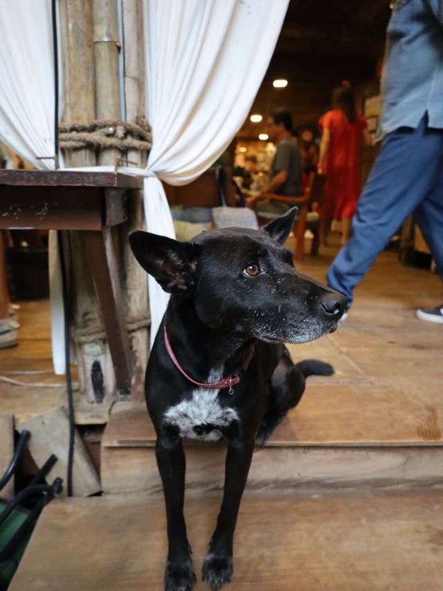 ⭐ บ้านธารชีวี – เชียงดาว จ.เชียงใหม่ ⭐ บ้านธารชีวี – เชียงดาว จ.เชียงใหม่