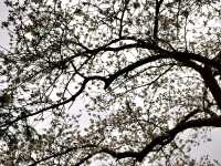 📍경주 황룡사지 역사문화관