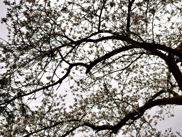 📍경주 황룡사지 역사문화관