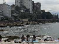 맨리 비치의 청량한 파도와 자유로운 분위기 여행지 🇦🇺