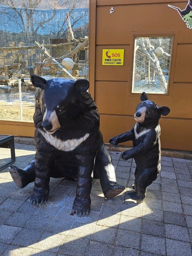 🐯동물들을 사랑하는 동물원 청주랜드동물원 다녀오기🦁 🐯동물들을 사랑하는 동물원 청주랜드동물원 다녀오기🦁