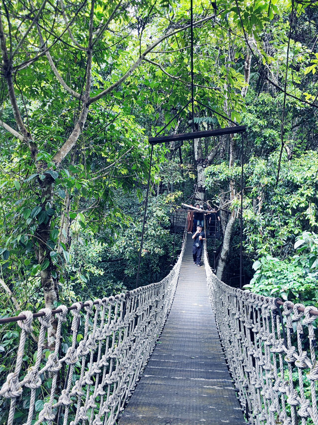 Nature Retreat Inn🍃