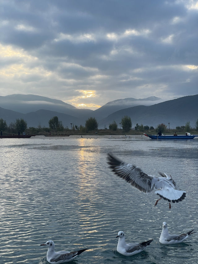 瀘沽湖晨霧|霧裡的湖光與水性楊花 瀘沽湖晨霧|霧裡的湖光與水性楊花