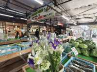 Aso Boy รถไฟท่องเที่ยวขวัญใจเด็ก ๆ 