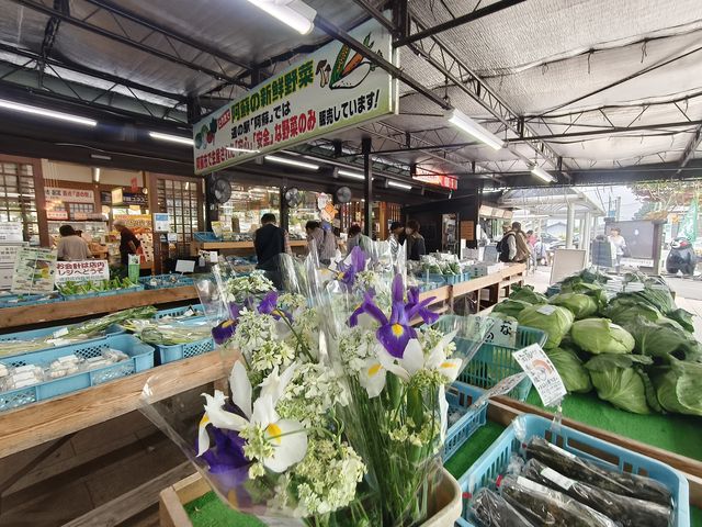 Aso Boy รถไฟท่องเที่ยวขวัญใจเด็ก ๆ 