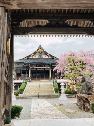 郡上八幡は古い街並みと美しい桜を楽しめる穴場な場所