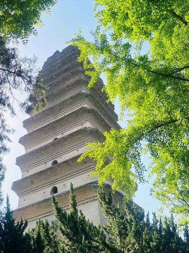 The Most Educational Place — Xi'an Museum (Small Wild Goose Pagoda