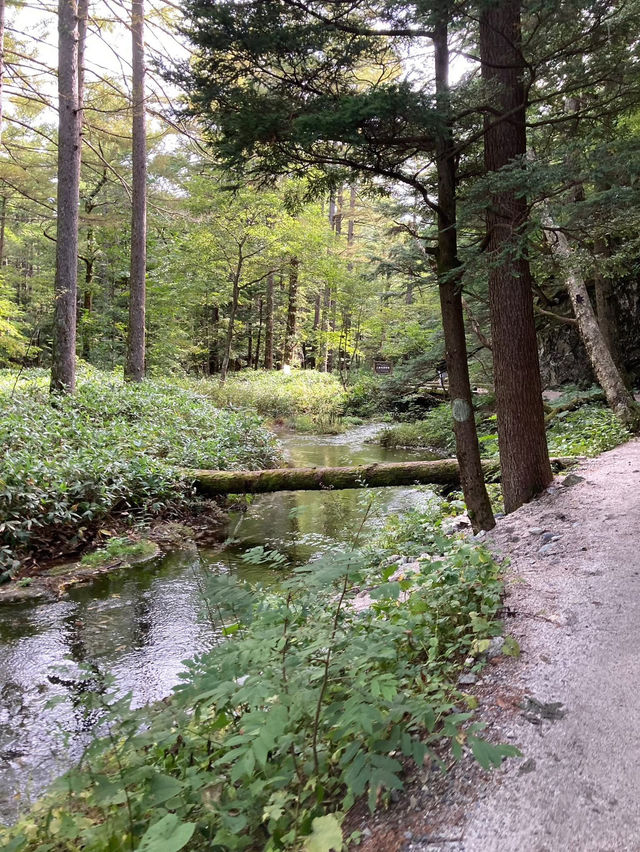 日本・上高地｜景色が澄み切っていて、心も自然と静まる。 | Trip.com