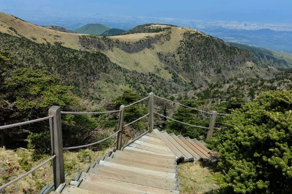 済州島・漢拏山（ハルラサン）登山のすべて！ | Trip.com 済州市