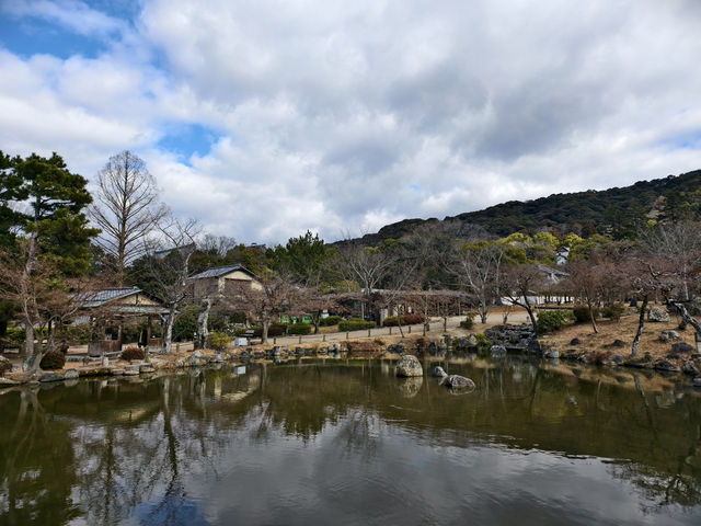 不經意到訪了円山公園是成了京都此行最舒適的地方 不經意到訪了円山公園是成了京都此行最舒適的地方