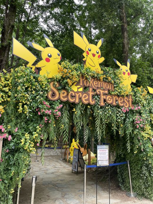 ソウルの森でかわいいポケモンに会いましょう！ ＜ポケモン