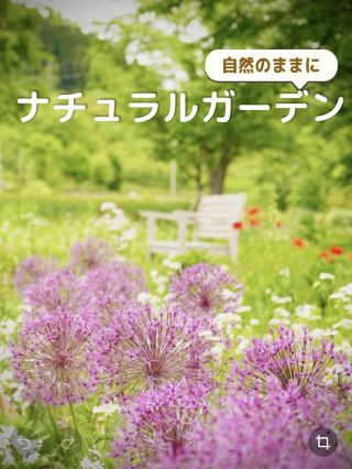 手をかけすぎずに自然のまま育てるナチュラルガーデン