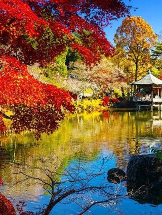 4-Day, 3-Night Chiba Itinerary for Beginners: Easy DIY Travel & Convenient Transport.