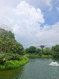 📸 How to Take a Million-Dollar Waterfall Photo for FREE! Jewel Changi 💦