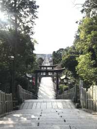 Epic Kyushu Road Trip: Scenic Spots, Cozy Towns & Vibes 🚗🍁