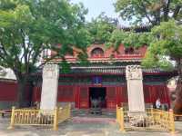 🎶 Zhihua Temple | A Little Detour in the Hutongs