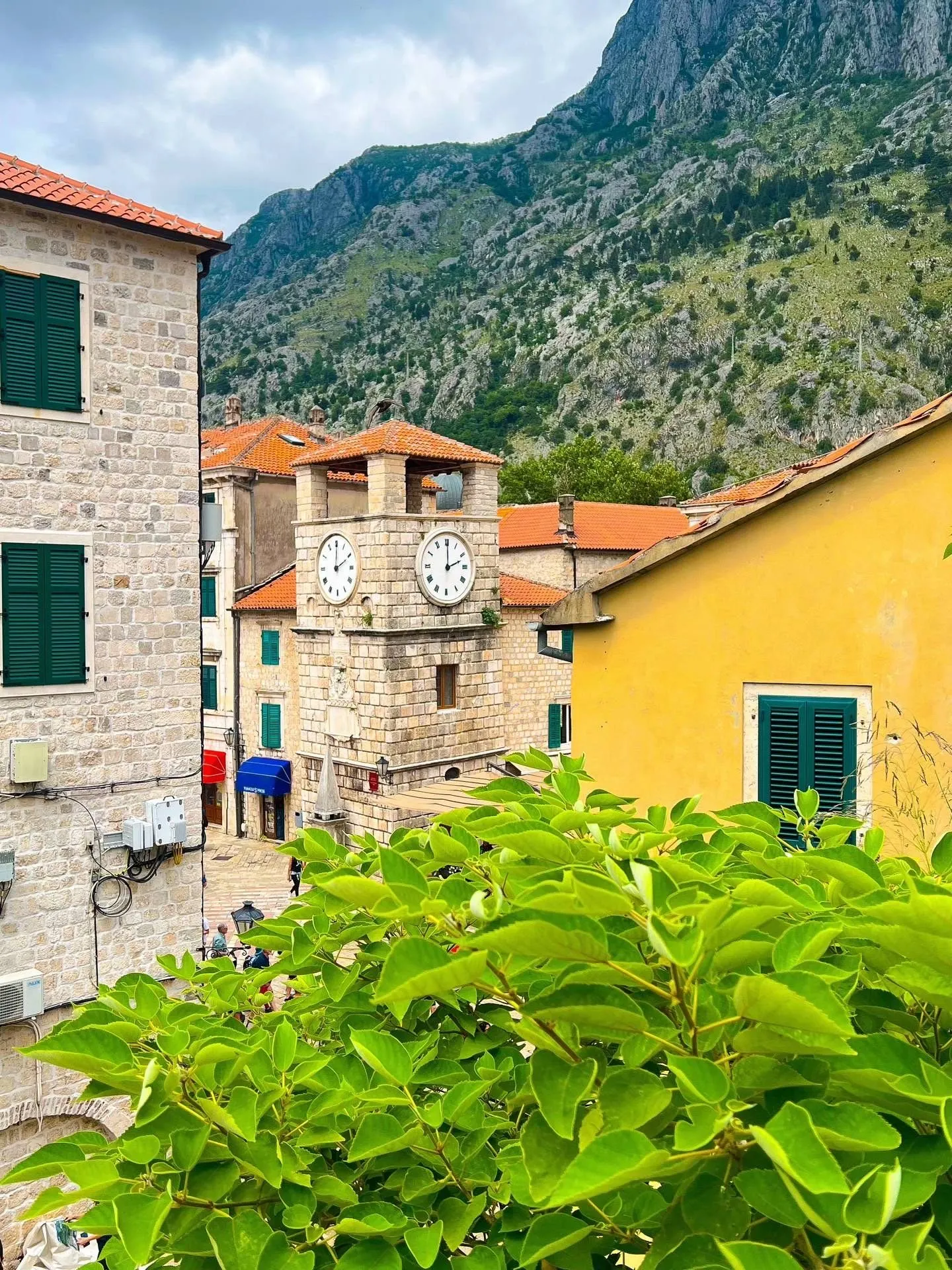 Kotor in Spring: Cherry Blossoms & Bay Views You’ll Wanna Repeat 🌸🏔️