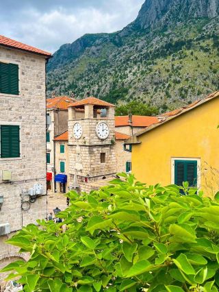 Kotor in Spring: Cherry Blossoms & Bay Views You’ll Wanna Repeat 🌸🏔️