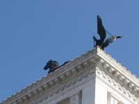 Walking by Statue of Vittorio Emanuele ll 