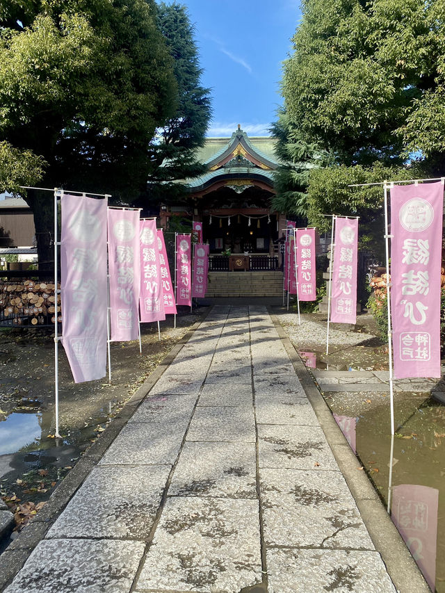 【東京都浅草🇯🇵今戸神社】縁結びの神様⛩️招き猫がお出迎え☺️