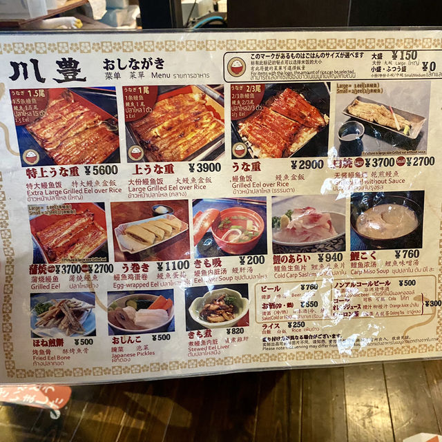 【成田🇯🇵川豊本店】成田山新勝寺に来たら食べたい‼️うなぎ専門店☺️