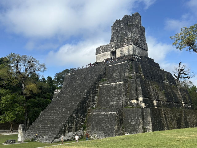 Tikal: some thoughts on strategy