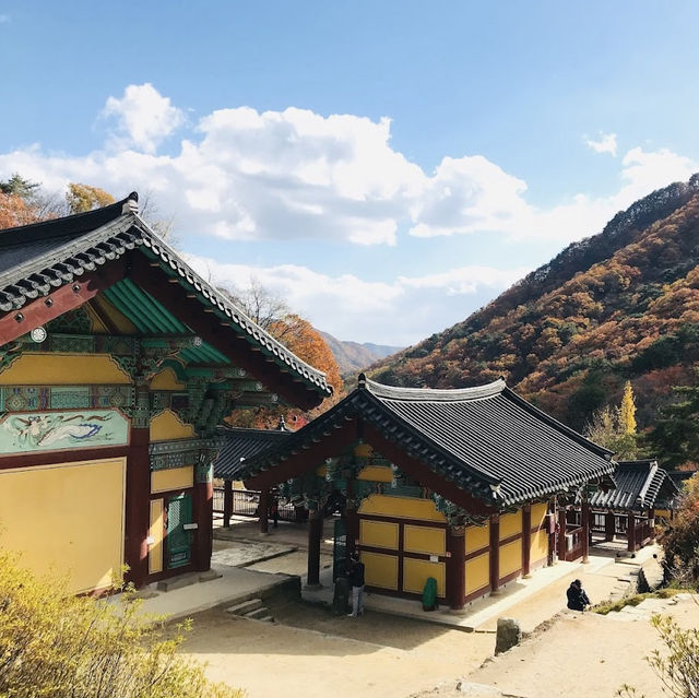 Absolutely gorgeous mountain temple. 