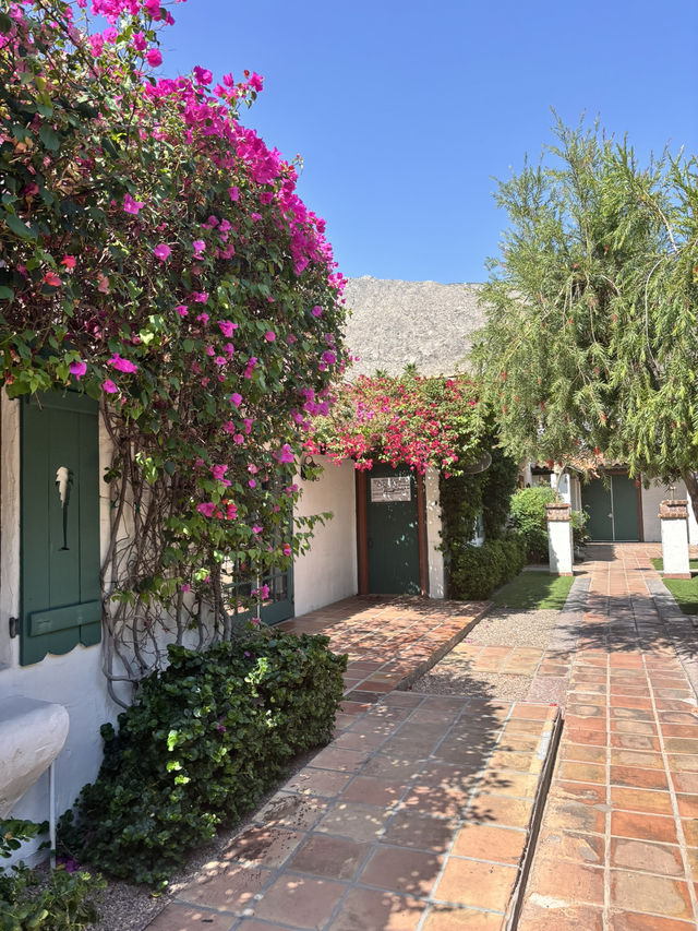 come and see the desert oasis！！