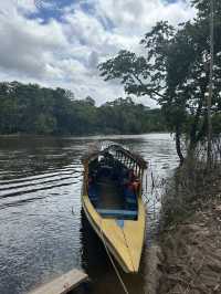 🇵🇪アマゾン川の大自然を体感🦥🦜🐒イキトス発アマゾンツアー