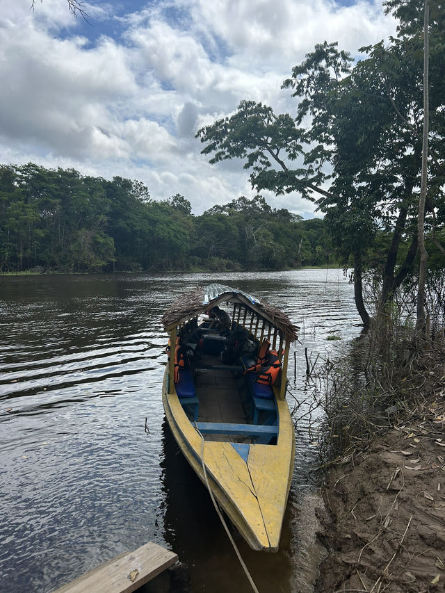🇵🇪アマゾン川の大自然を体感🦥🦜🐒イキトス発アマゾンツアー