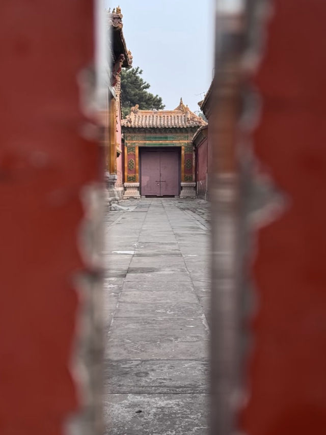 那一年，我在故宮仰望蒼穹，在泰國擁抱夏天