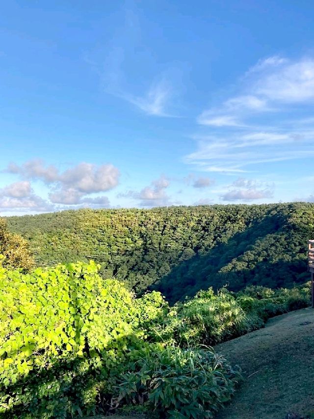 美麗濟州島山君不離 美麗濟州島山君不離