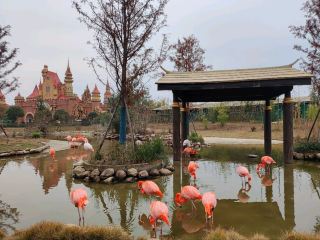 Wildlife Interaction Park: A Top Choice for Families