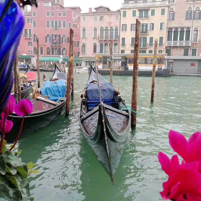 Grazie Mille Venezia! 