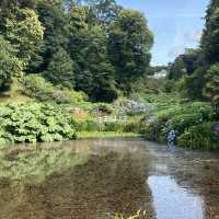 Tropical garden hidden in Cornwall