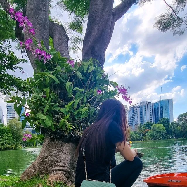 Afternoon stroll in Lumpini Park, Bangkok, Thailand 🇹🇭 