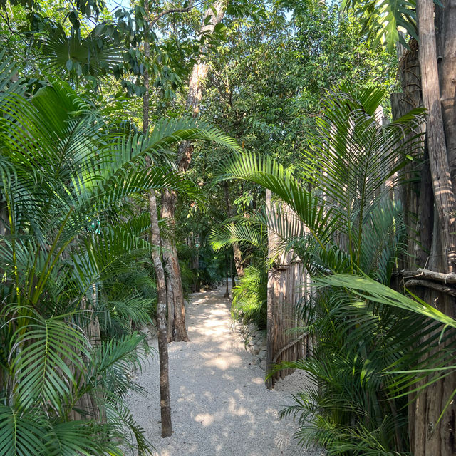 Sian Ka'an Mangrove Magic