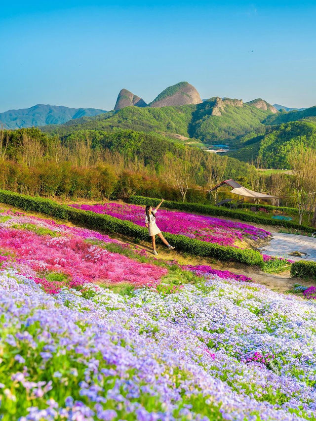 💕💐 코트잔디 동산 💐💕