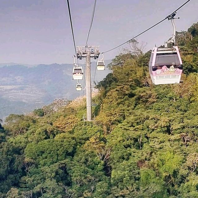 🚡《貓空纜車》坐水晶車廂欣賞超美風景🚠
