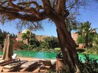 Enigmatic Essaouira: Morocco's Coastal Gem