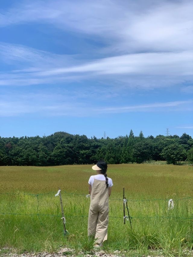 루프탑 뷰가 넘 예뻤던 송당 무끈모루숲 카페 인터포레스트