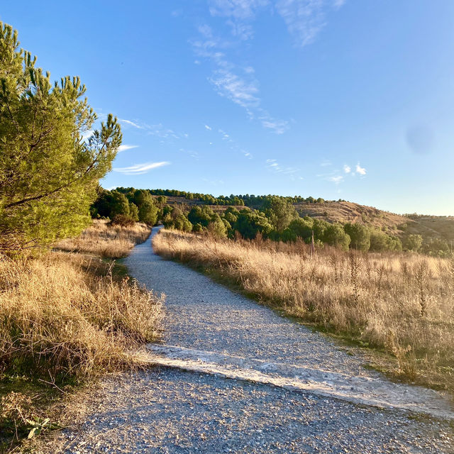 Picture-Perfect Stroll