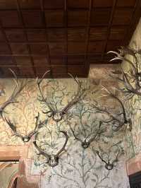 🇫🇷國王城堡 （Château du Haut-Kœnigsbourg） 🚩