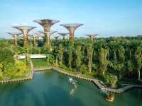 Gardens by the Bay​: Singapore's iconic planet!