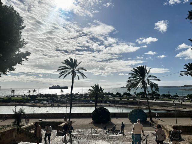 一度は行くべき楽園！マヨルカ島があなたを惹きつける5つの理由🇪🇸✈️🌏