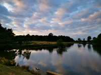 Richmond Park Travel Diary: Nature and Serenity